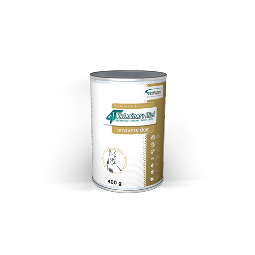 recoverydog_ugri recoverydog_ugri