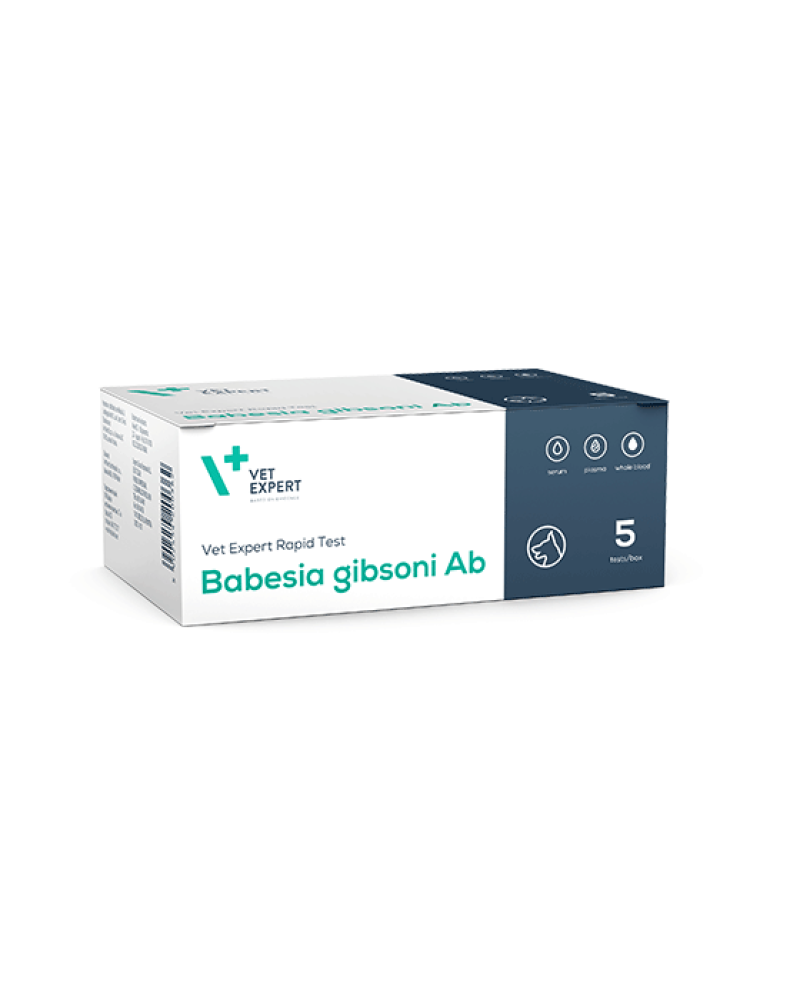 babesia-gibsoni-ab_5 babesia-gibsoni-ab_5